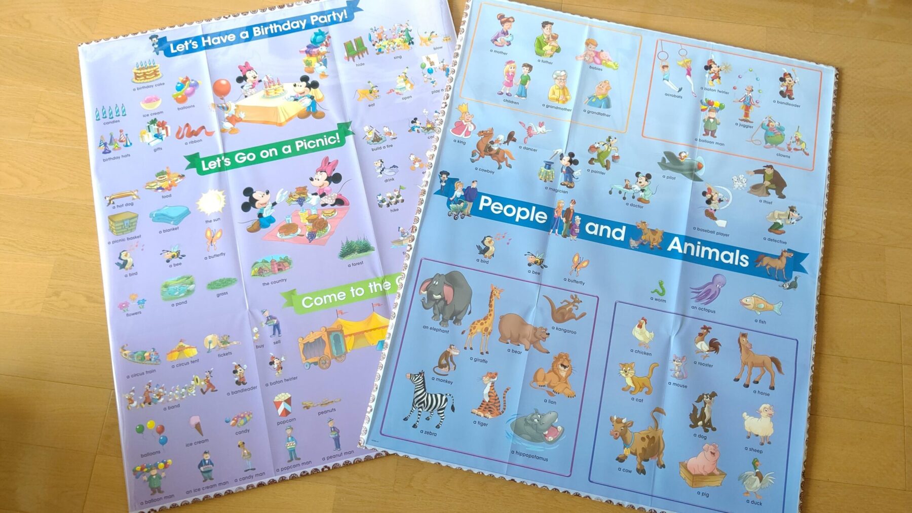 DWE ディズニー英語 Sing Along CD,DVD,絵本,ポスターセット DWE ディズニー英語システム 新子役Sing Along シングアロング